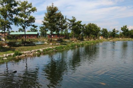 真夏でも釣れる！ ～フィッシングパーク高島の泉～